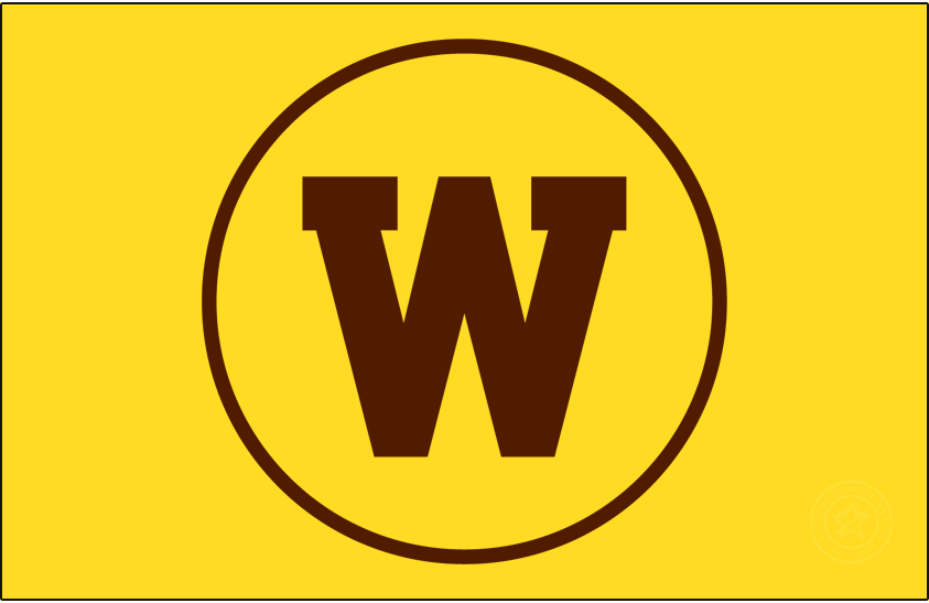 Western Michigan Broncos 2021-Pres Alt on Dark Logo iron on transfers for clothing